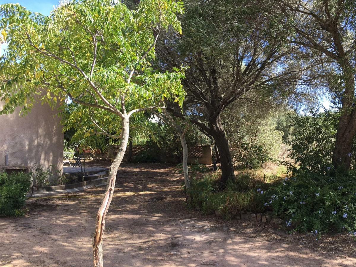 Gite A Poggiale De Figari Figari  Exteriér fotografie